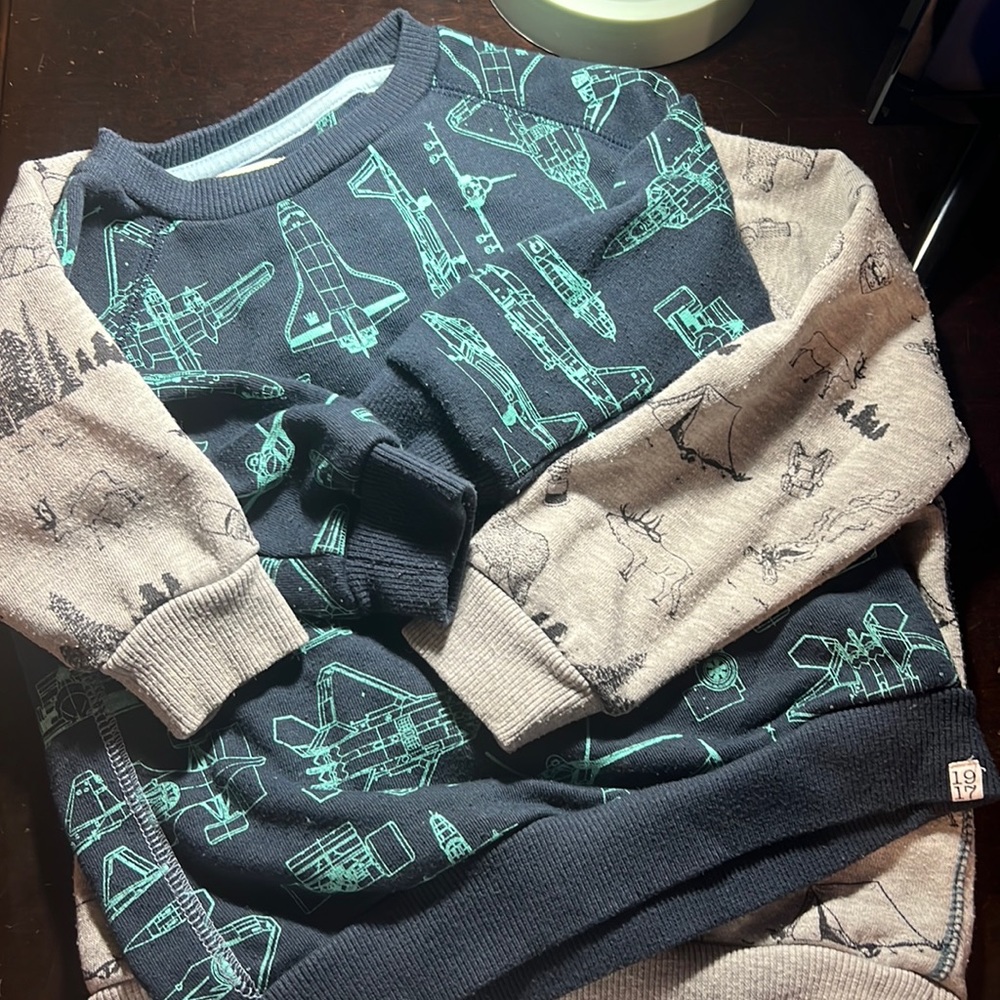 Sovereign code sweatshirt (s) 3t boys airplane and mountain animal. Set of 2